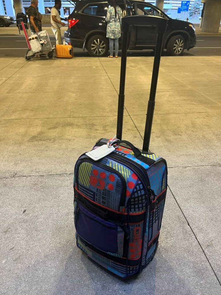OGIO Layover luggage